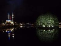 images